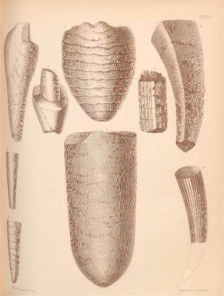 n126_w1150