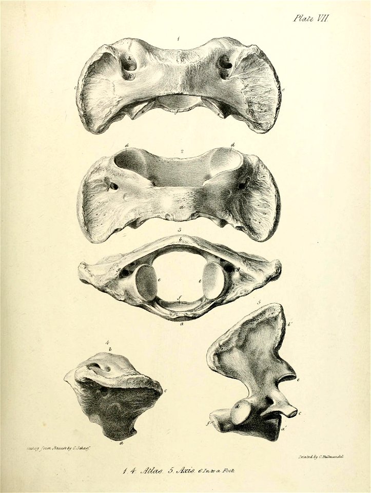 n206_w1150