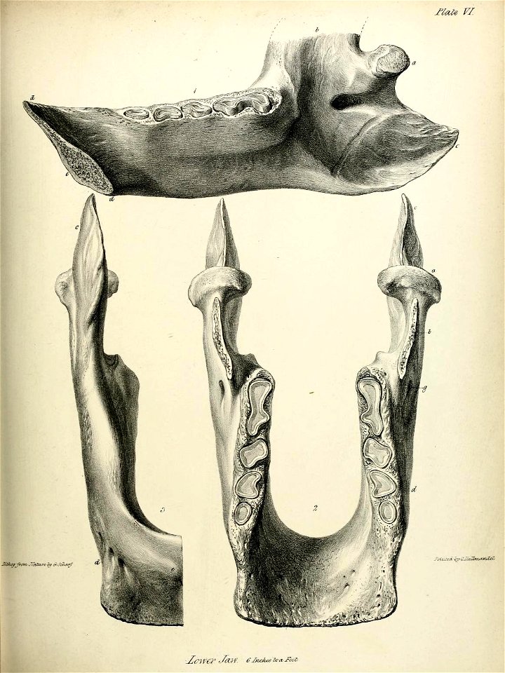 n202_w1150