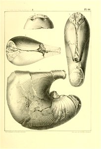 n248_w1150
