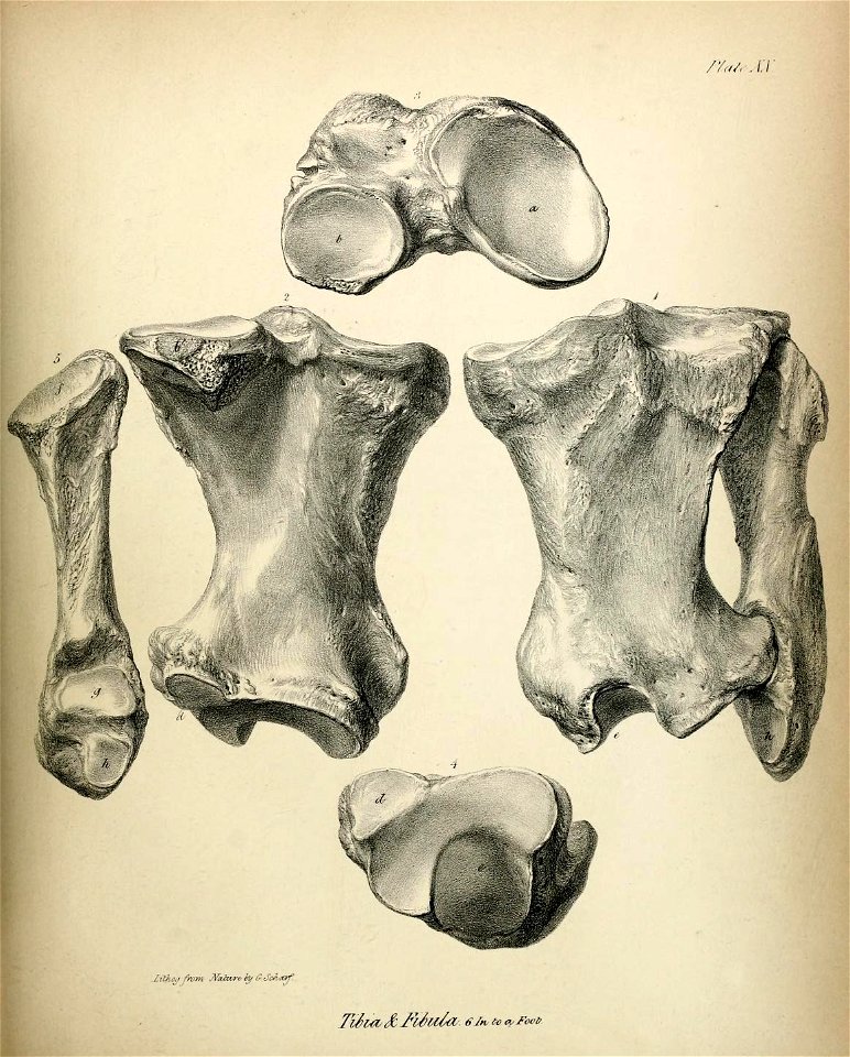 n258_w1150