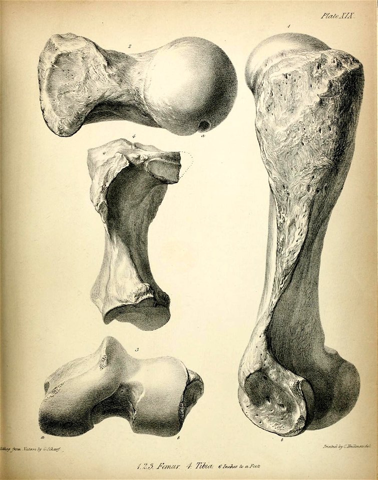n254_w1150