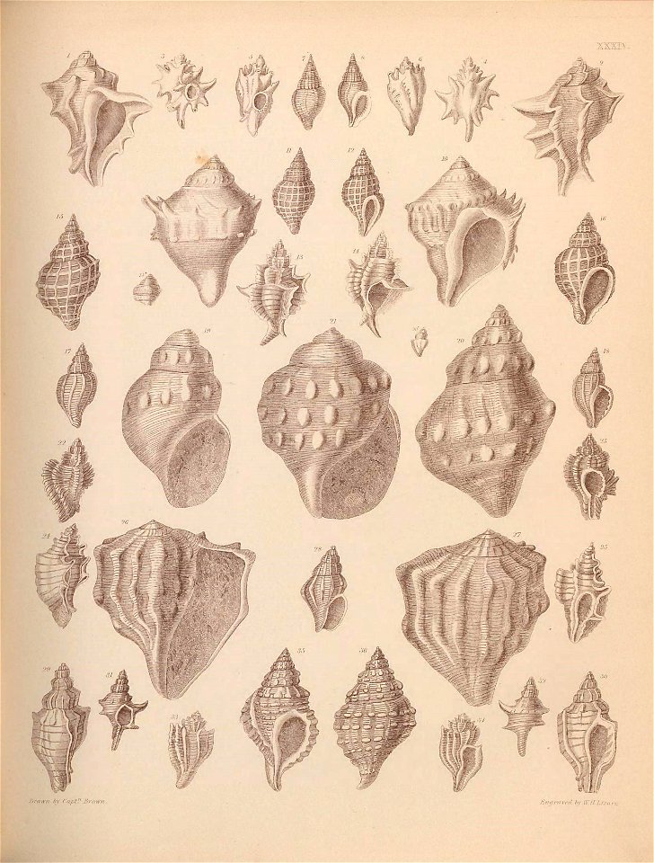 n162_w1150