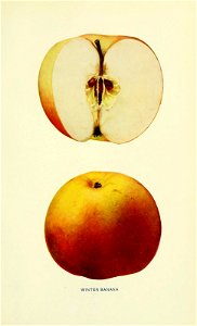 n652_w1150