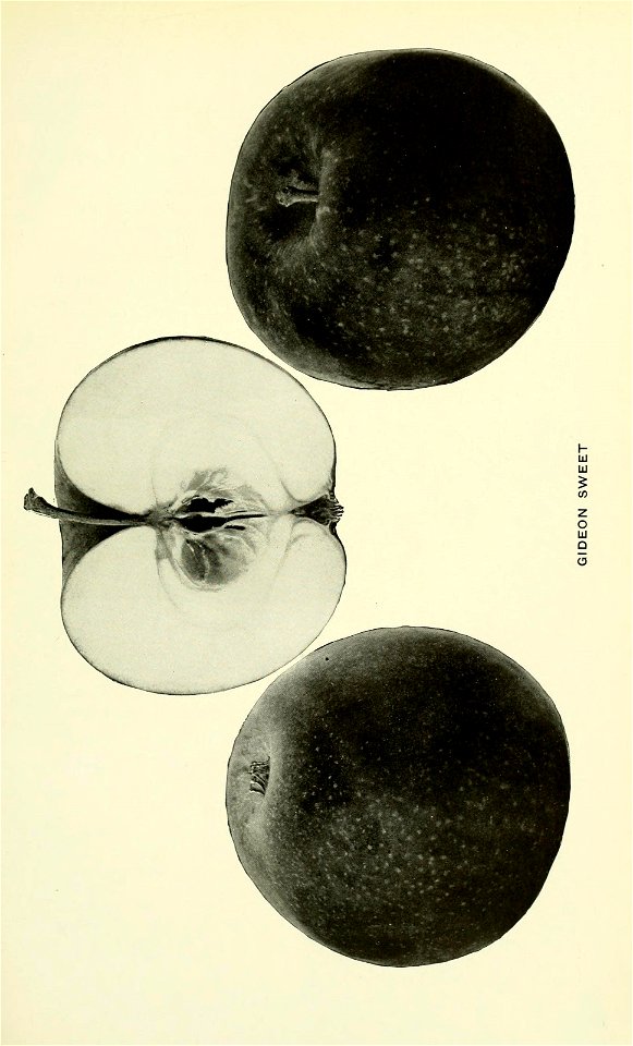 n230_w1150