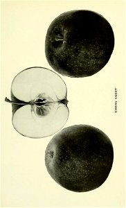 n230_w1150