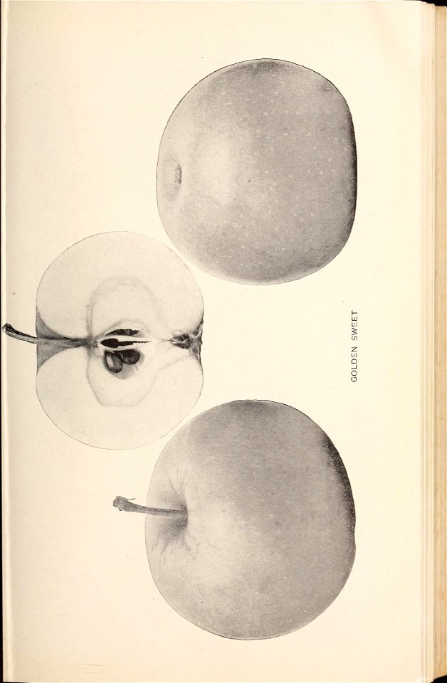 n148_w1150