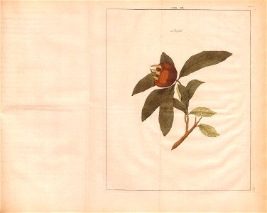 n197_w1150