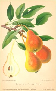 n608_w1150