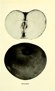 n348_w1150