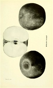 n202_w1150