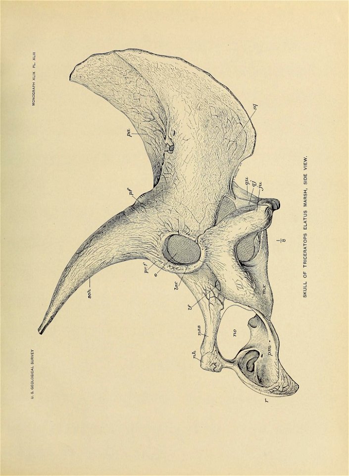 n448_w1150