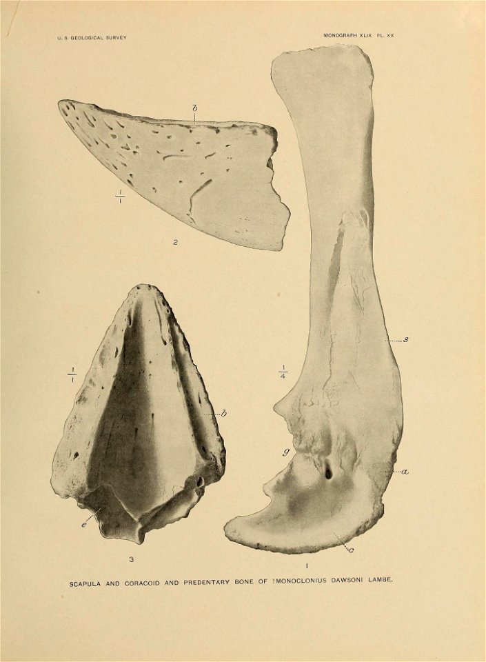 n326_w1150