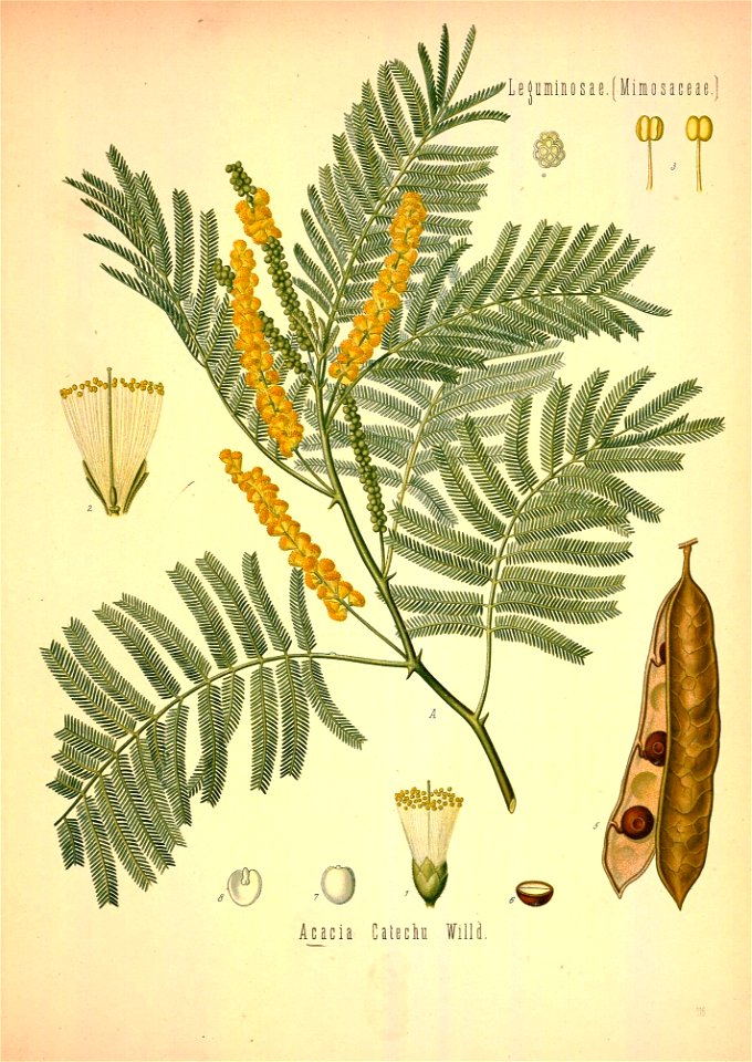 n576_w1150