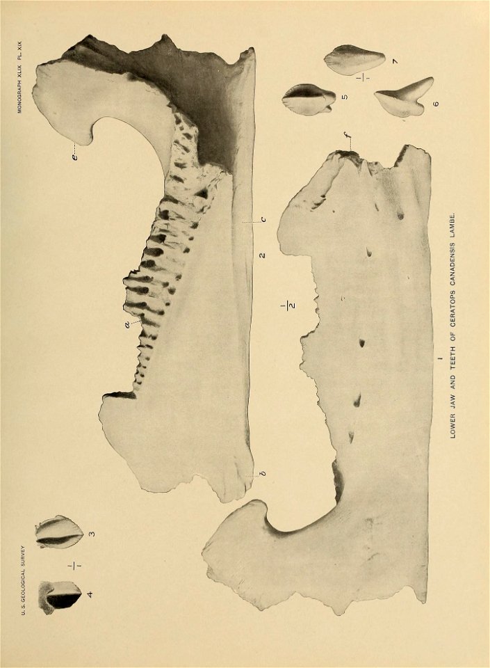 n322_w1150