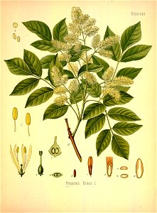 n574_w1150