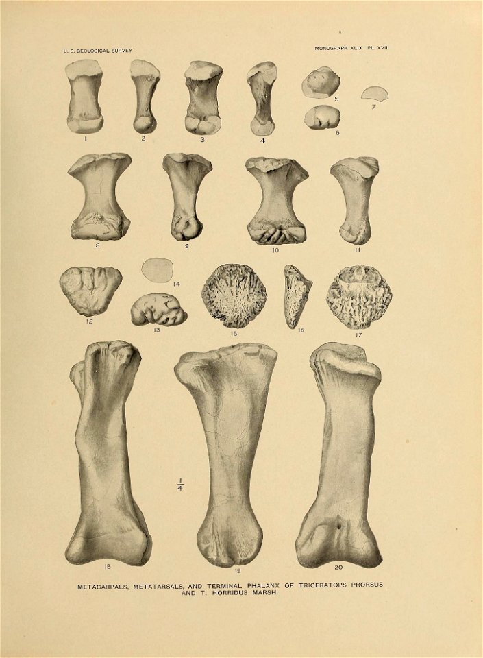 n314_w1150