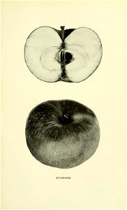 n534_w1150
