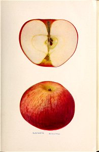 n16_w1150