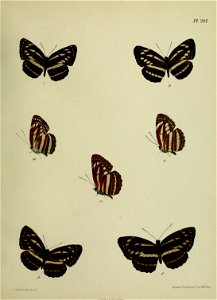 n454_w1150