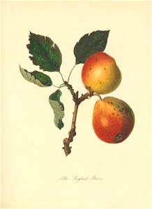 n122_w1150