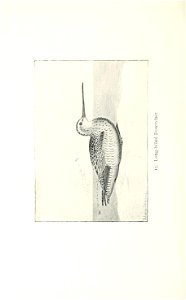 n83_w1150