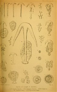 n448_w1150