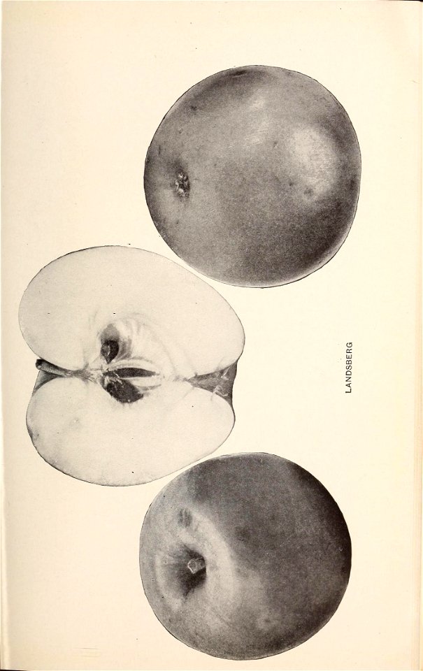 n204_w1150