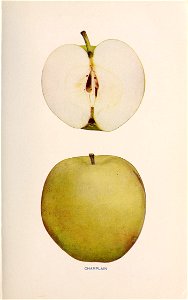 n56_w1150