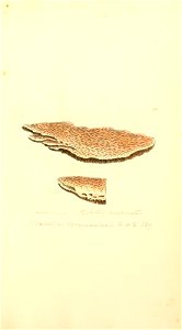 n1066_w1150