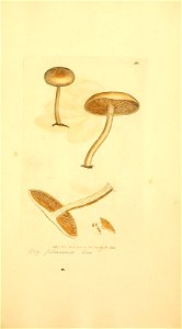 n946_w1150