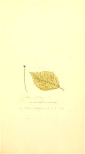 n826_w1150