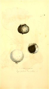 n884_w1150