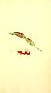 n1032_w1150