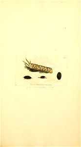 n852_w1150
