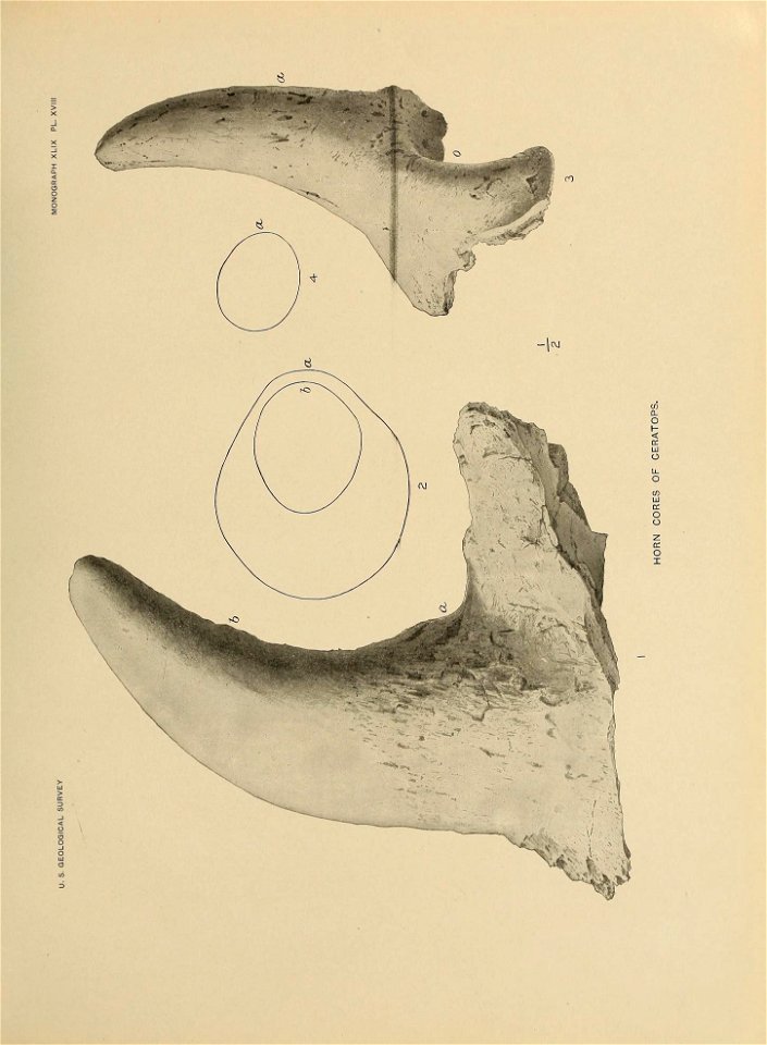 n318_w1150