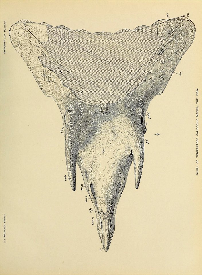 n430_w1150