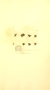 n1030_w1150