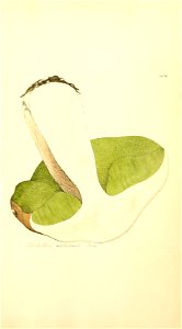 n1058_w1150