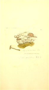 n908_w1150