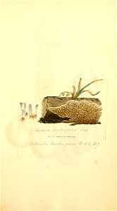 n878_w1150