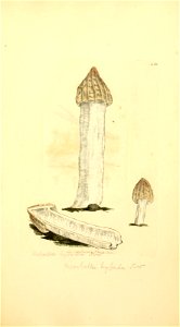 n584_w1150