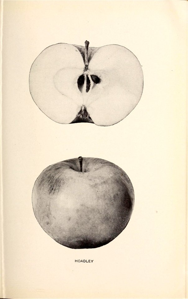 n174_w1150