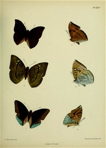 n364_w1150