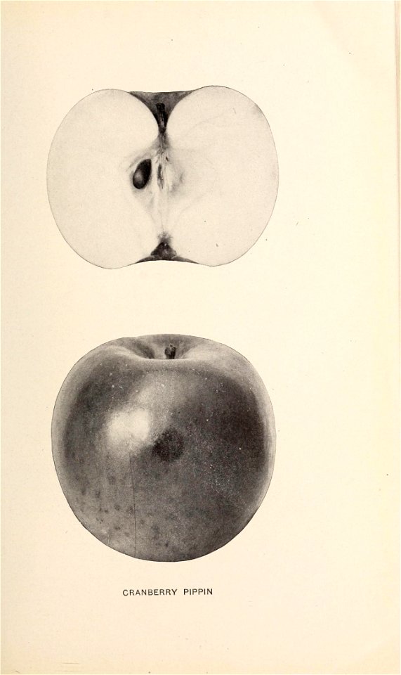 n82_w1150
