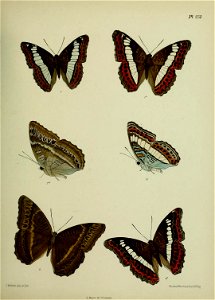 n388_w1150