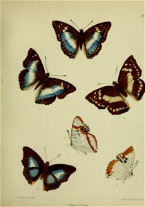 n268_w1150