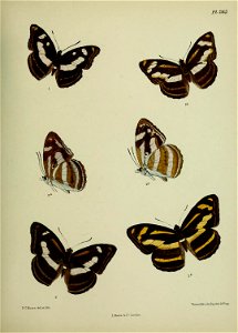 n416_w1150