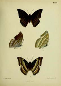 n384_w1150