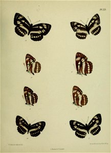 n444_w1150
